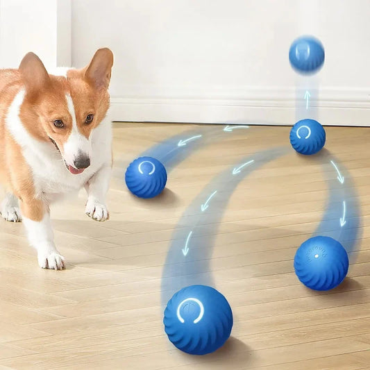 Aktives Rolling Ball Dog Toy