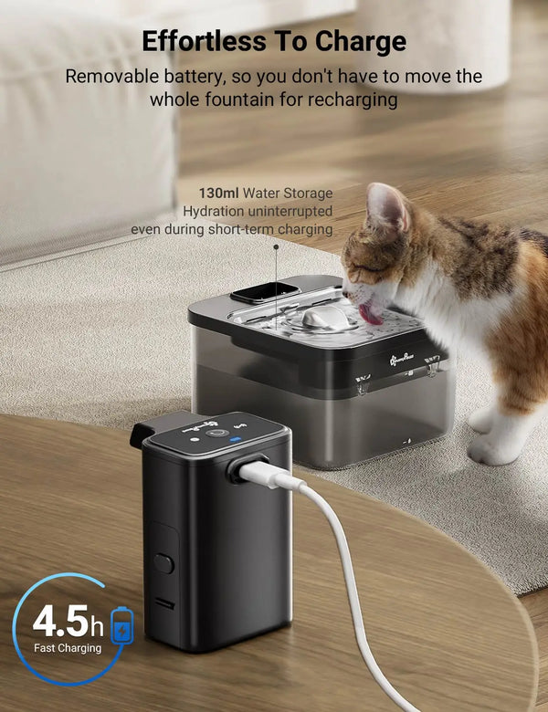 Katzenbrunnen mit Sensor