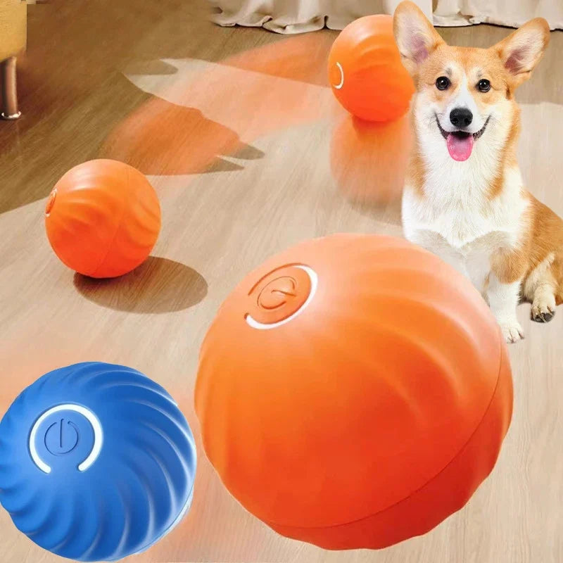 Aktives Rolling Ball Dog Toy